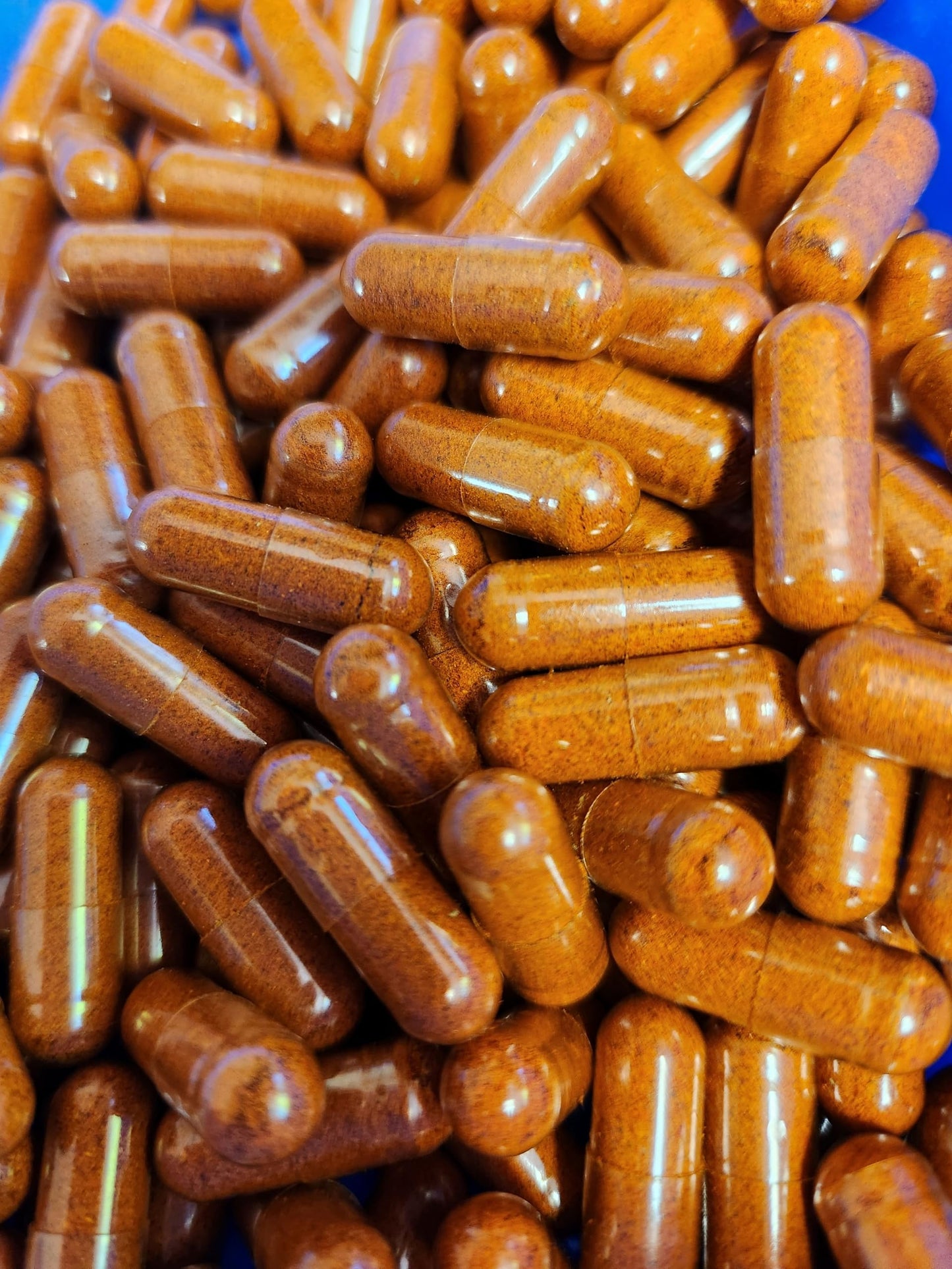 PAISLEY FARM & CRAFTS MADE FRESH FOR A HEALTHY YOU Cayenne Fruit Pepper Powder Capsules 300 Count