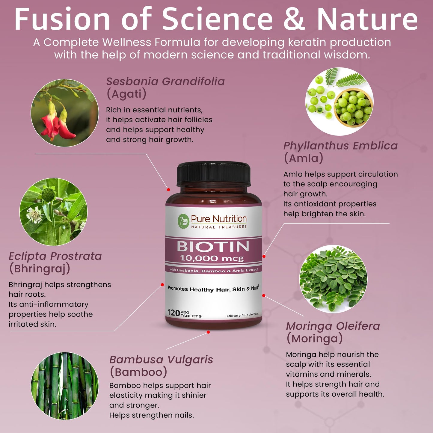 Pure Nutrition Natural Treasures Biotin 10000mcg with Sesbania, Bamboo & Amla Extract Tablets, 120 Count