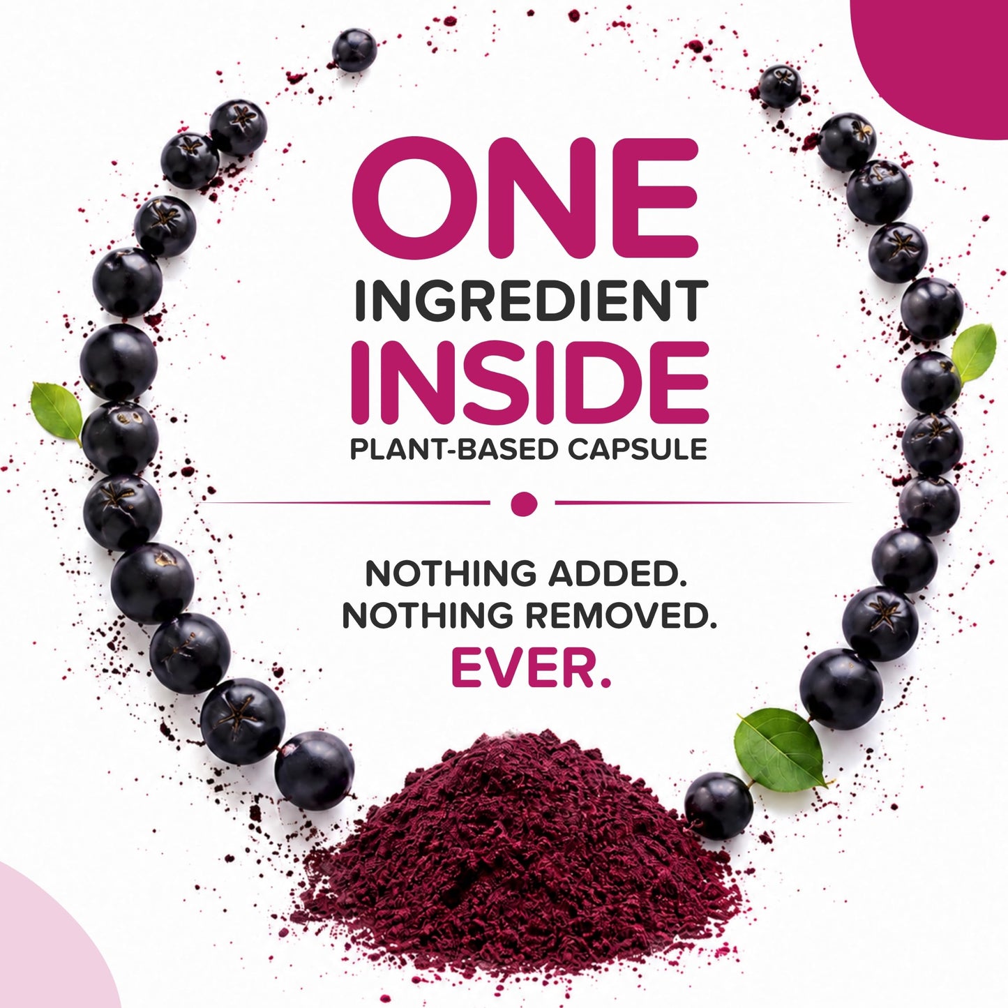 b Aronia Berry Capsules 90 Capsules