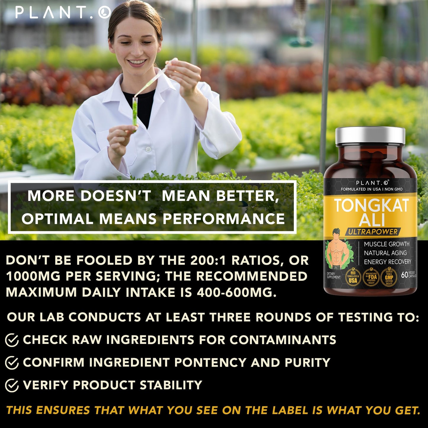 PLANT.O NUTRITION Tongkat Ali Ultrapower Longjack Extract Supplement for Stamina, Strength, Endurance, Lean Muscle Growth & Recovery Men's Pre Workout Supplement Capsule, 60 Count