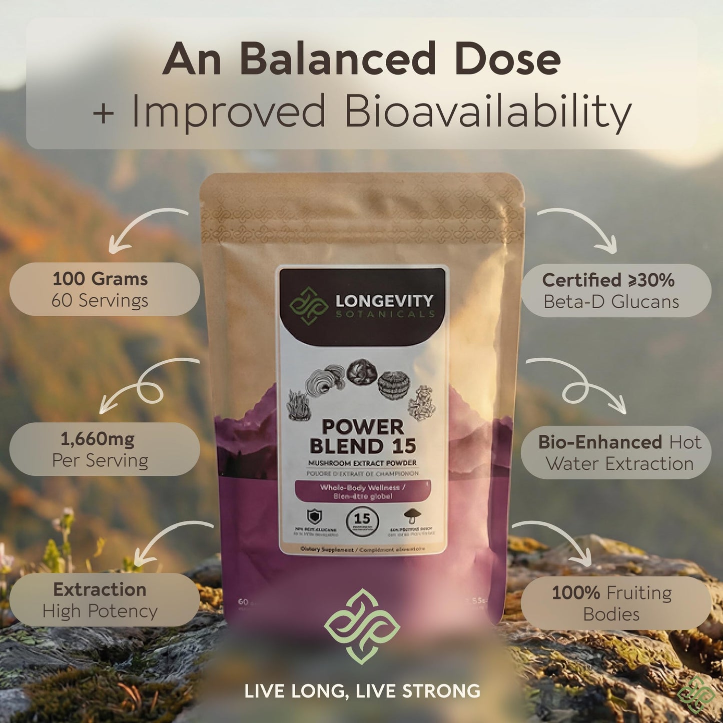 Longevity Botanicals Power 15 Mushroom Blend Powder 3.53 Ounce