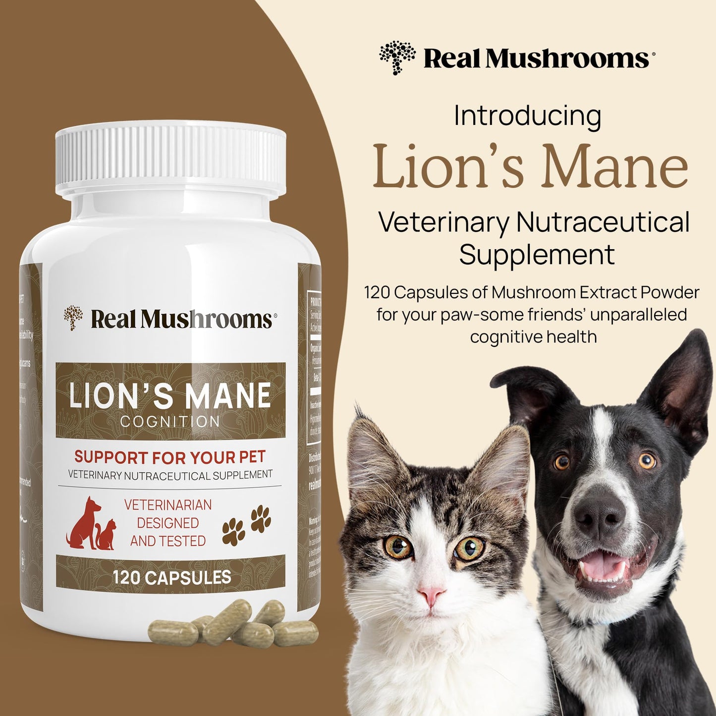 Real Mushrooms Lions Mane Capsule 2-Pack