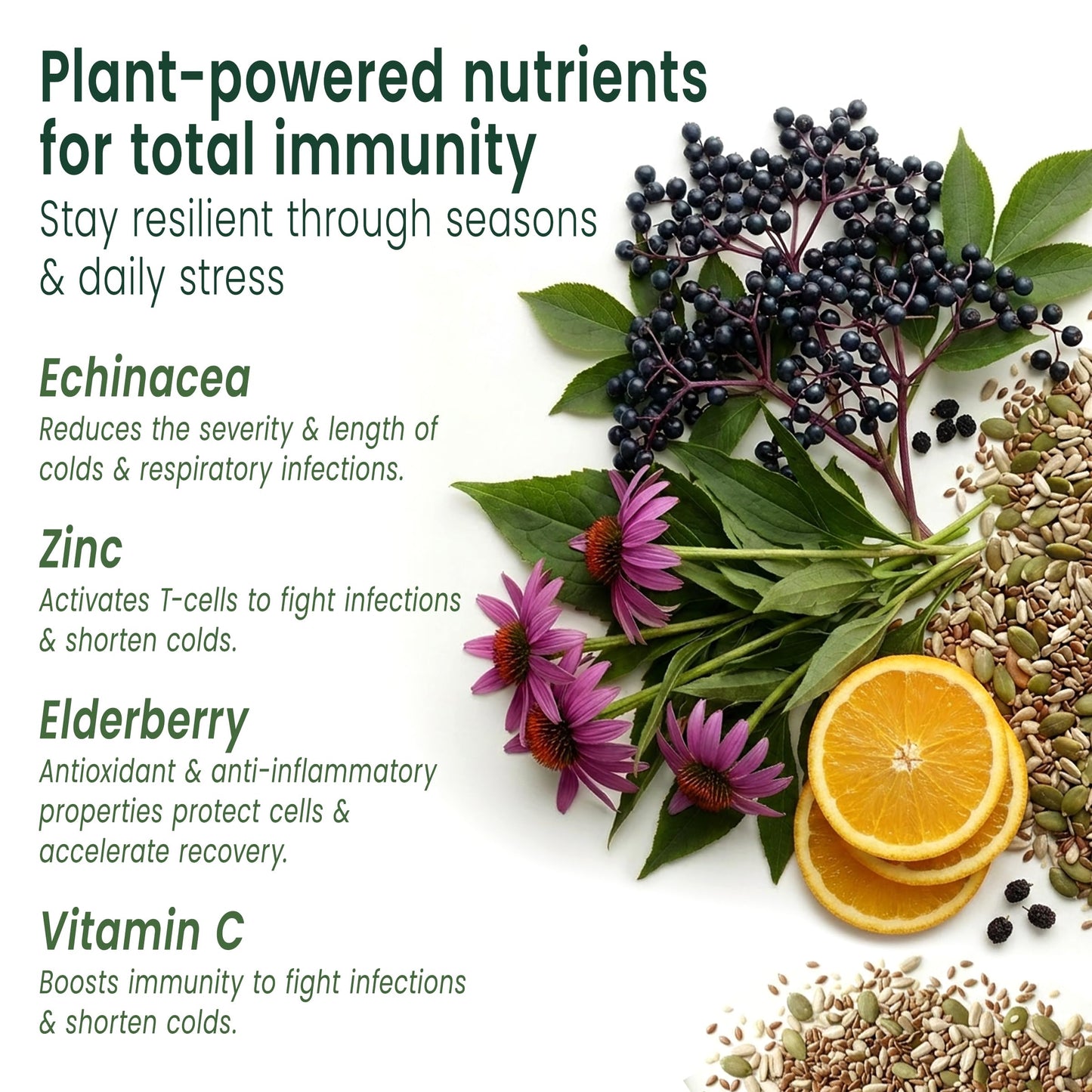 Sunsoil Supplements Immune Boost Organic Gummy 60 Count