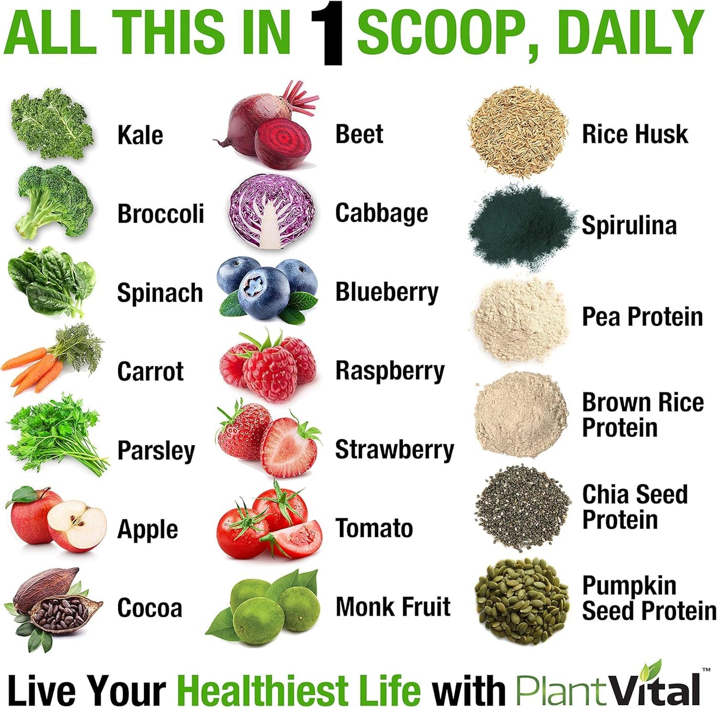 PlantVital Vegan Protein Powder, Chocolate, Plant Based, Organic, Gluten-Free, Keto-Friendly, 16 oz