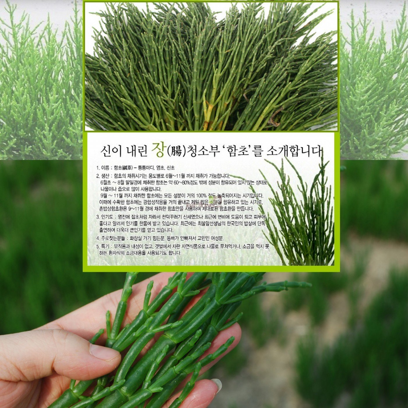 Leafnflower Korean Herbal Detox Capsules, 1 Capsule