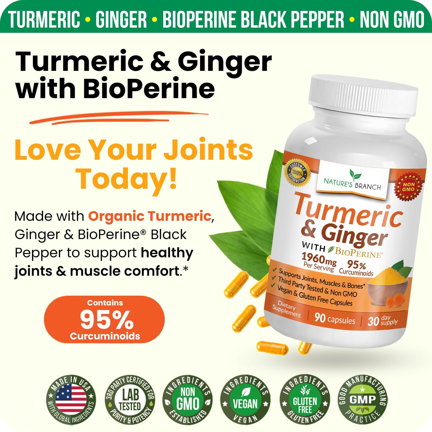 Nature's Branch Turmeric and Ginger Supplement for Joint Support & Digestive Health Capsules, 90 Count