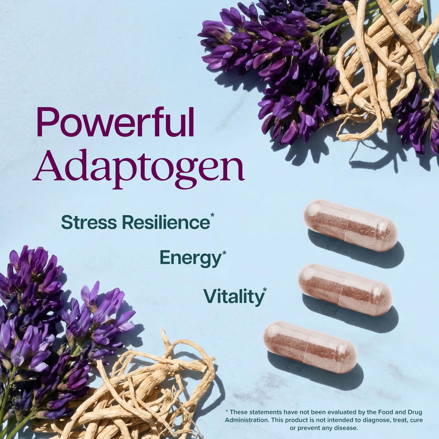 Purely Holistic Astragalus Root Capsules 250