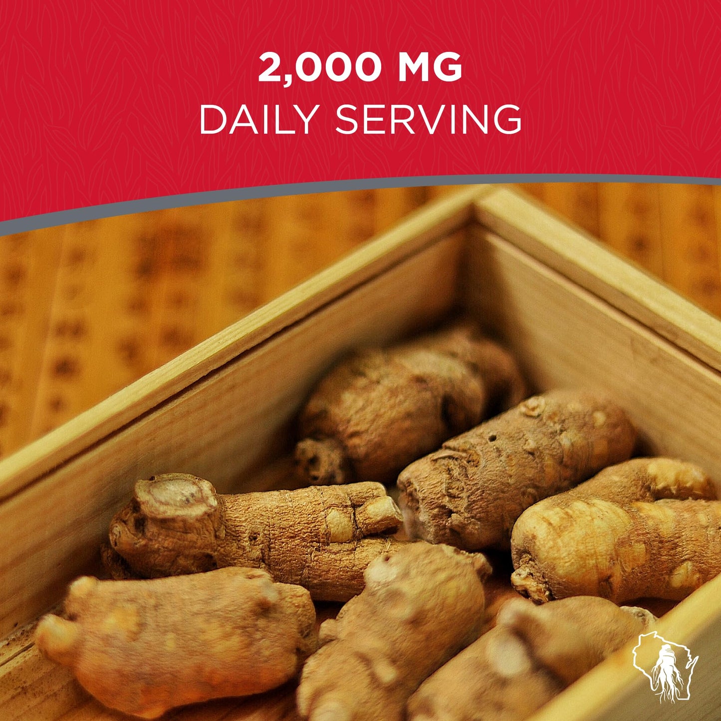 Dairyland Management LLC Ginseng Notoginseng Capsules 75 Count