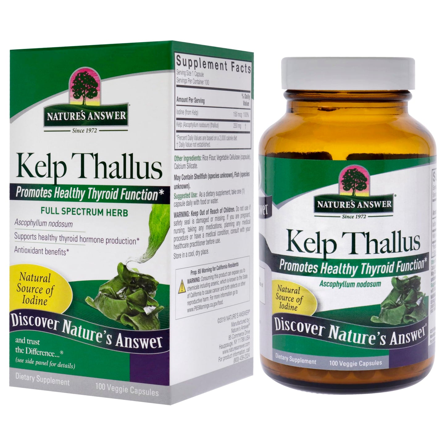 Nature's Answer Kelp Thallus Capsule 100