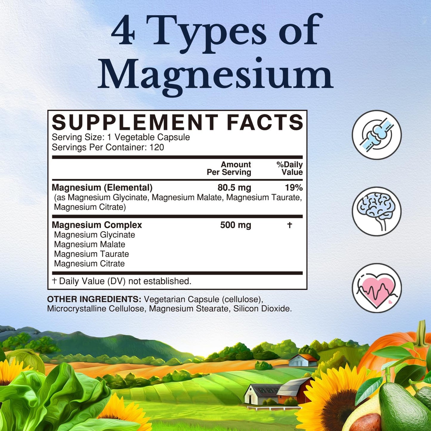 Vitalitown Magnesium Complex Supplement 500mg Capsules, 240 Count
