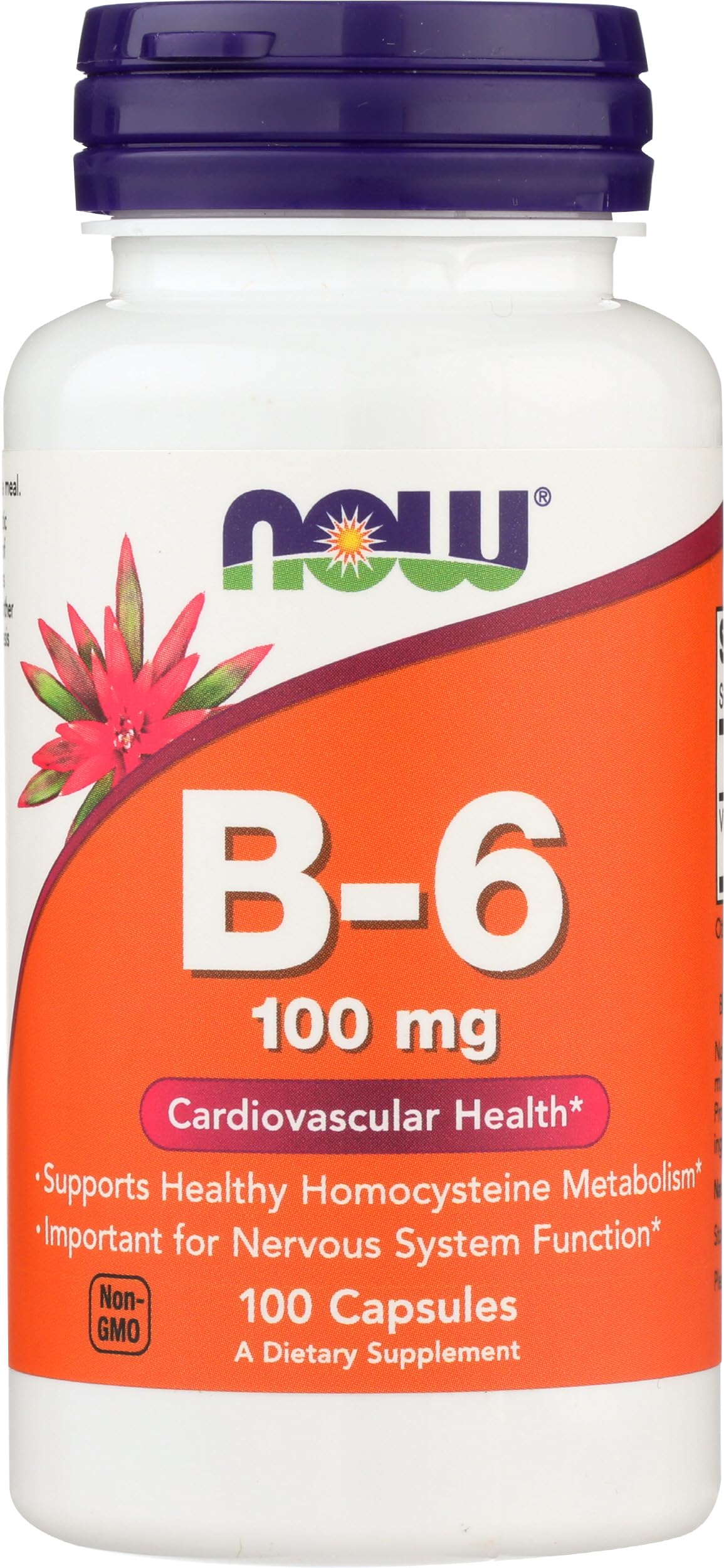 NOW Foods Vitamin B6 100 mg Capsules, 100 Count