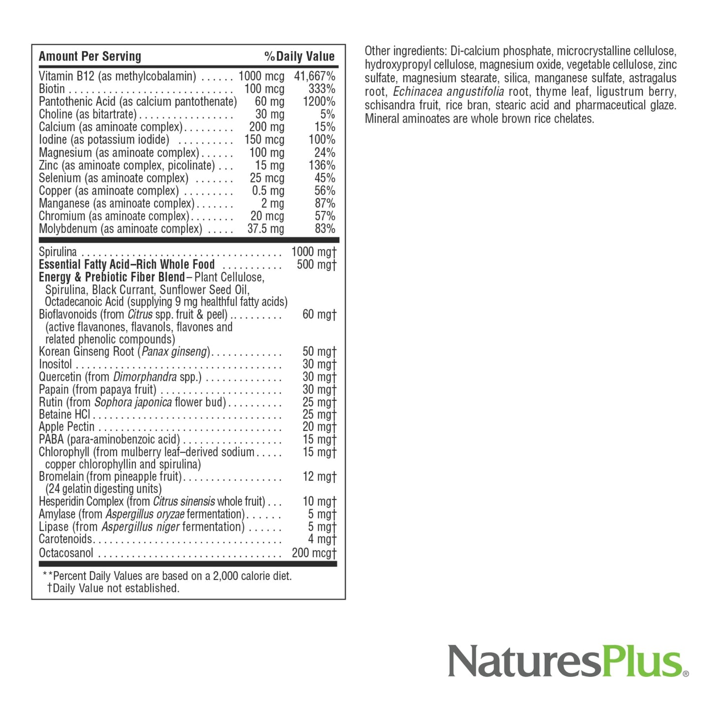 NaturesPlus Source of Life No Iron Multivitamin & Mineral Supplement Tablets, 180 Count