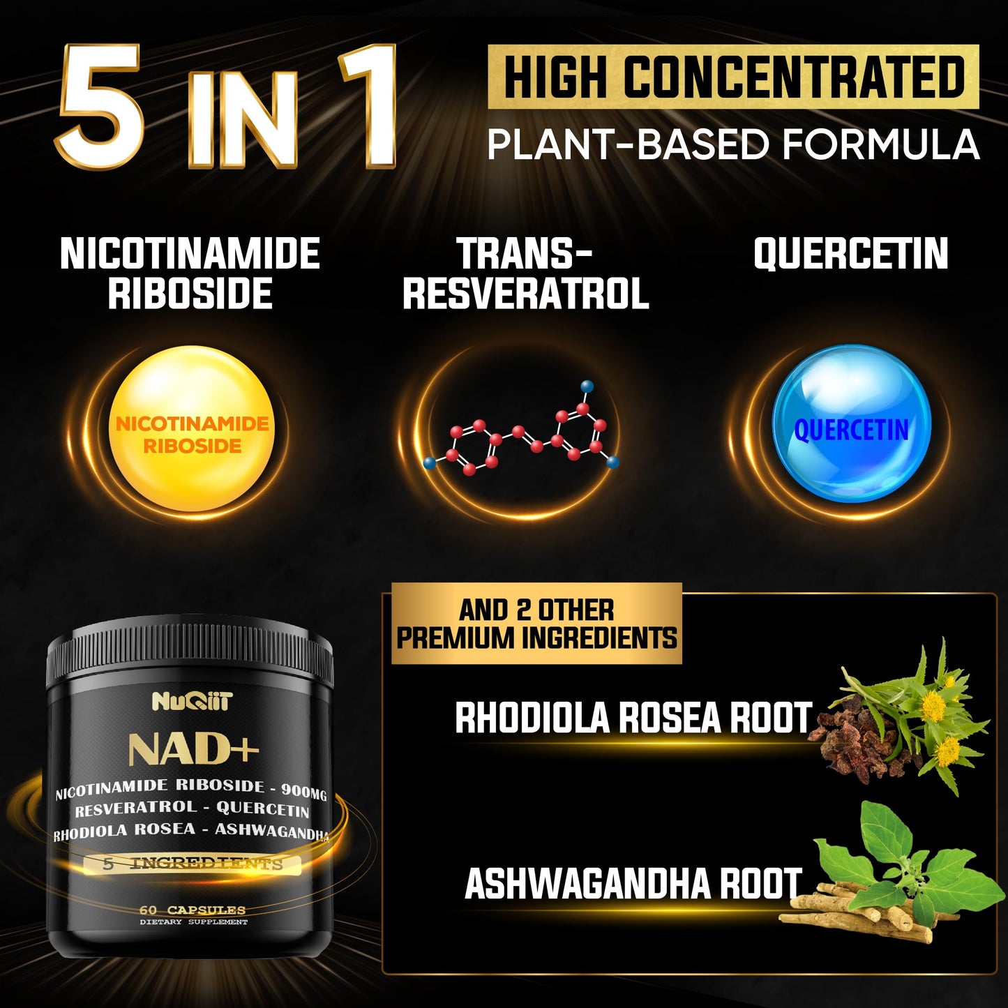 NUQIIT NAD+ Supplement with Nicotinamide Riboside, Resveratrol, Quercetin, Turmeric, Rhodiola Rosea Capsule 60 Count