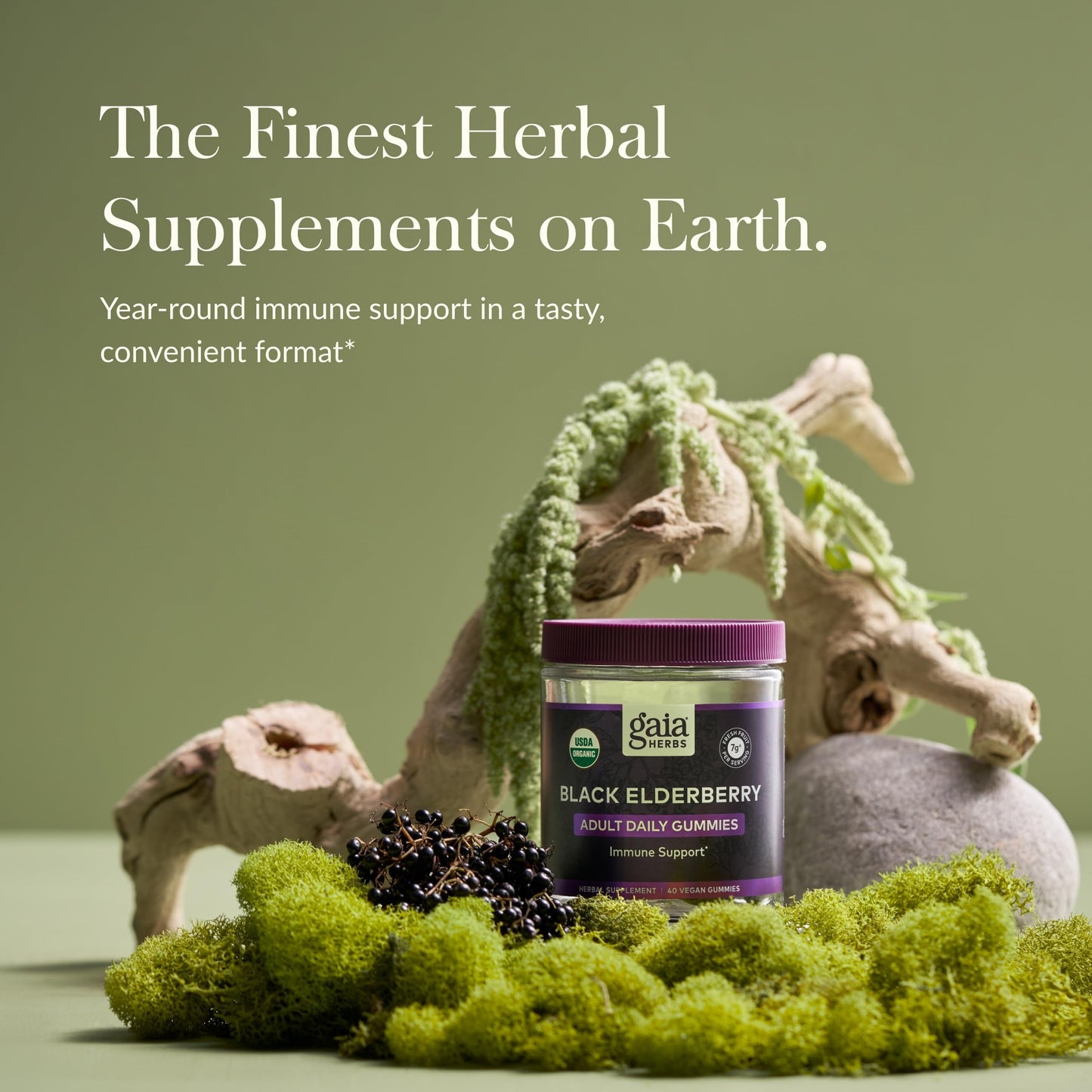 Gaia Herbs Black Elderberry Adult Daily 40 Gummies