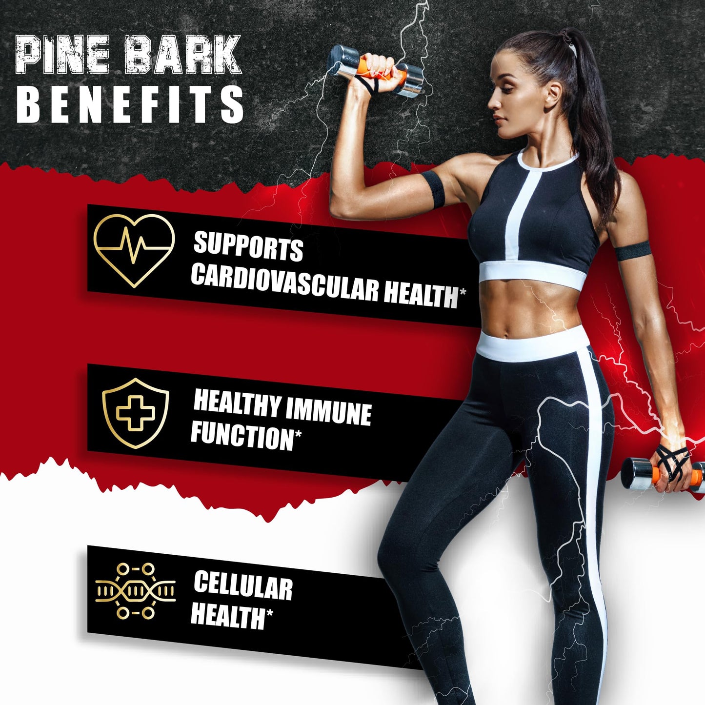 BMVINVOL Pine Bark Capsules 90 Count