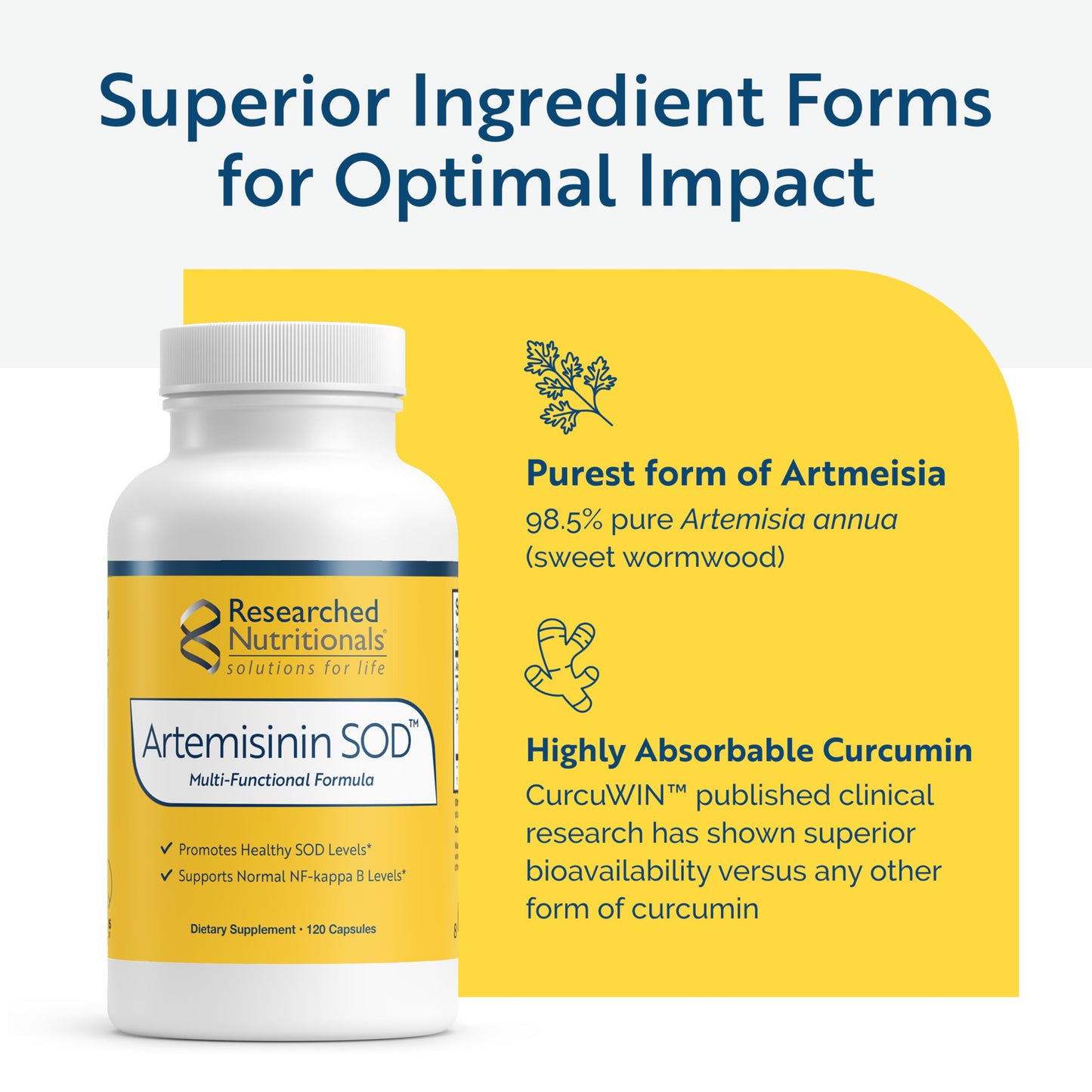 Researched Nutritionals Artemisinin SOD Immune Support, 120 Capsules