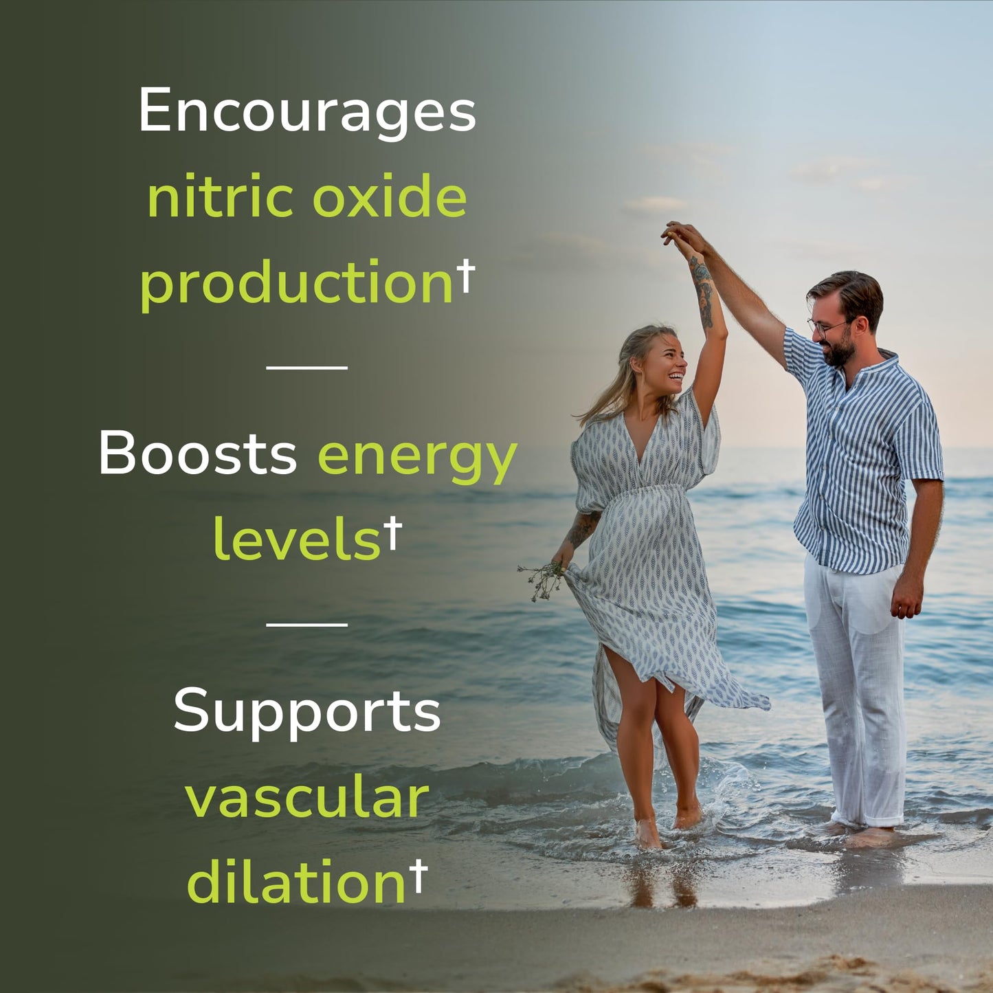 Vinco Nitric Oxide Elite Daily Blood Pressure Supplement 120 Capsules
