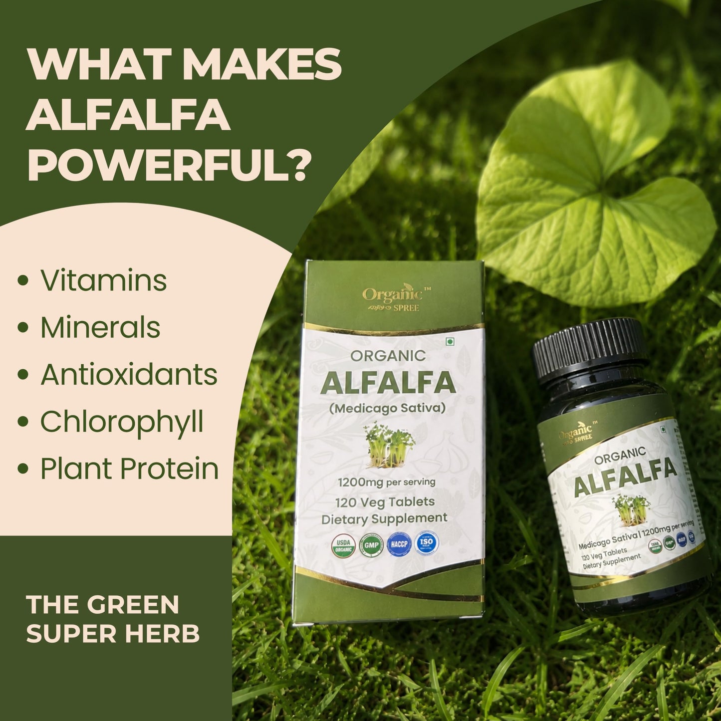 ORGANIC SPREE Alfalfa Tablets 120