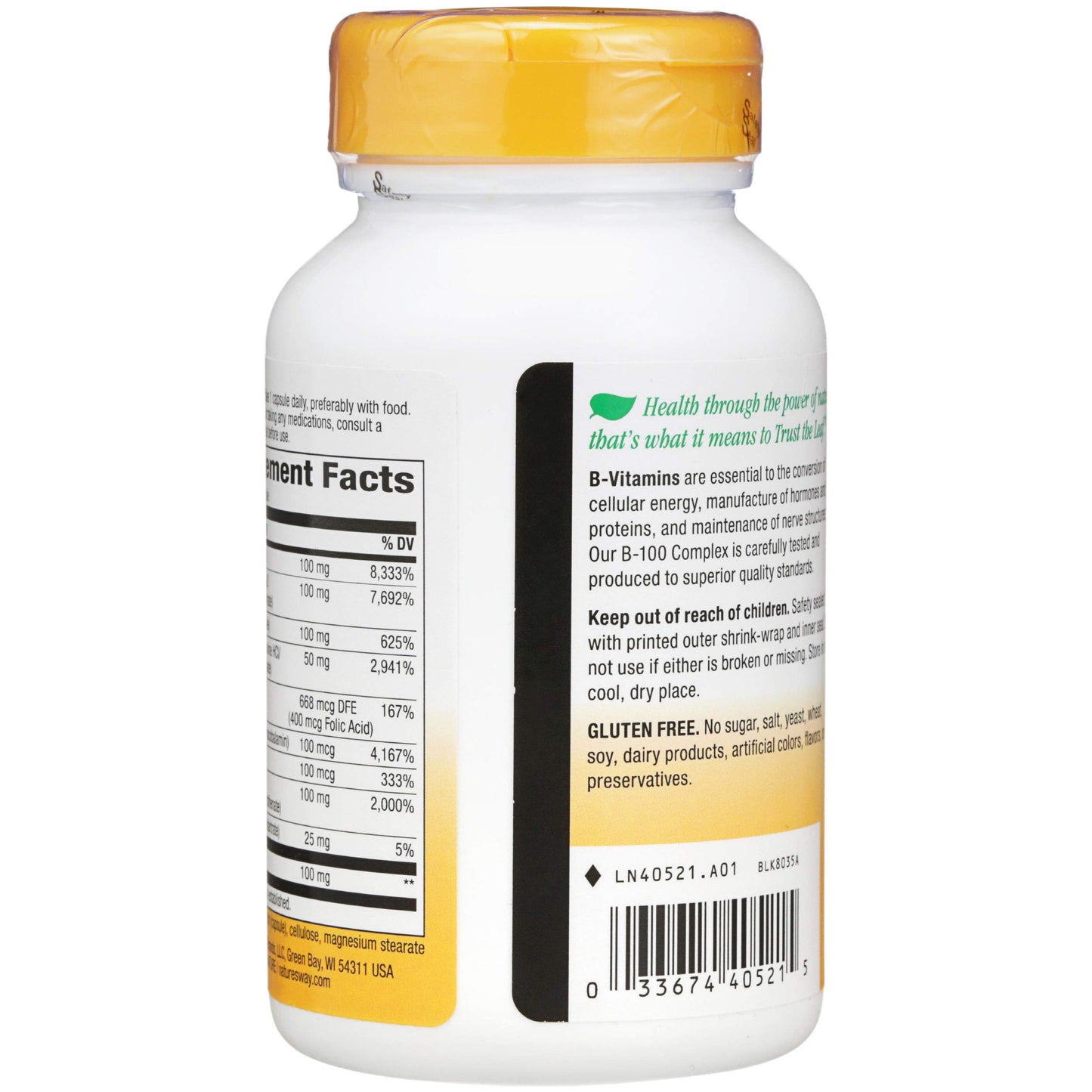 Nature's Way B100 Complex Capsules 100