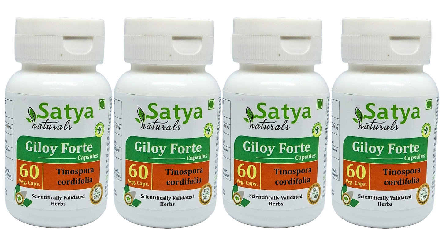 Satya Naturals Giloy Forte 500 mg Capsules, 240 Count