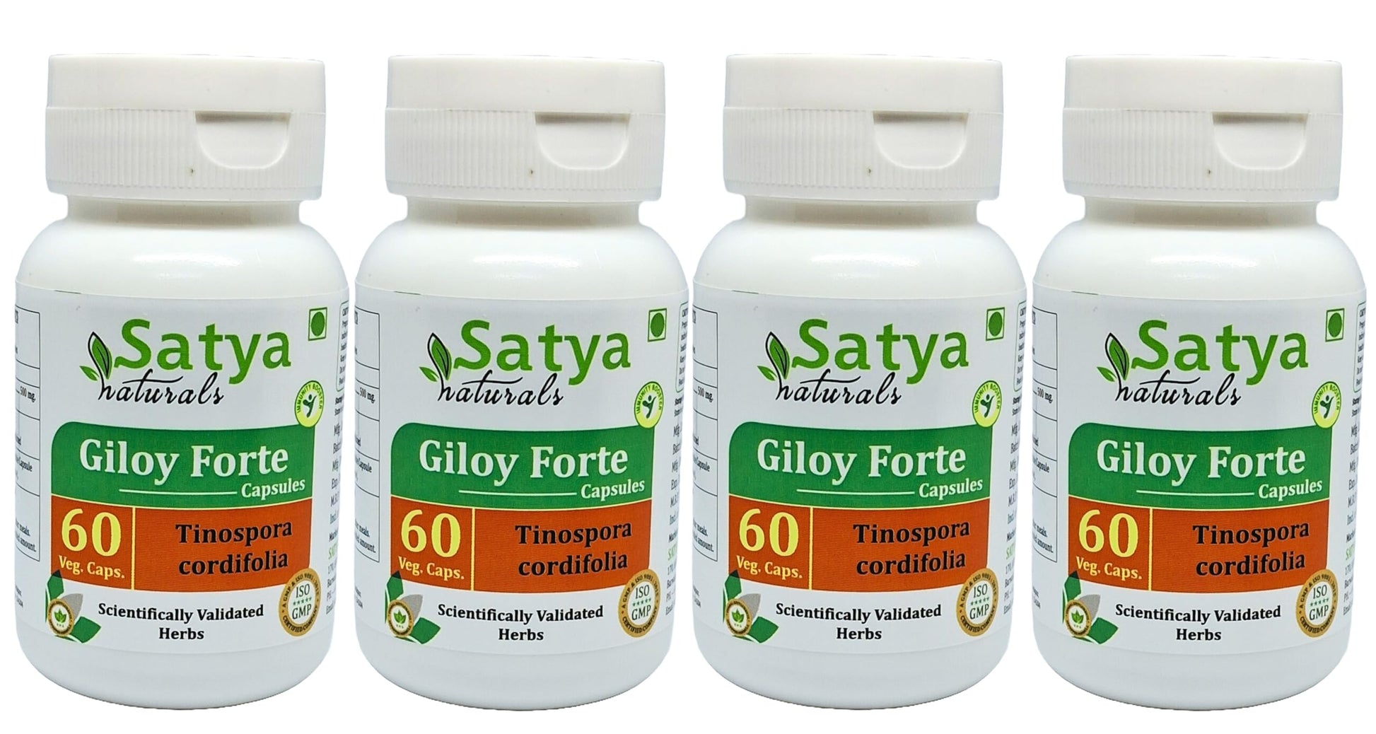Satya Naturals Giloy Forte 500 mg Capsules, 240 Count