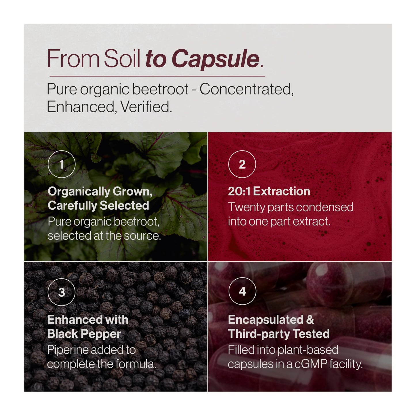 TRUE BEETS Beet Root 60 Capsules