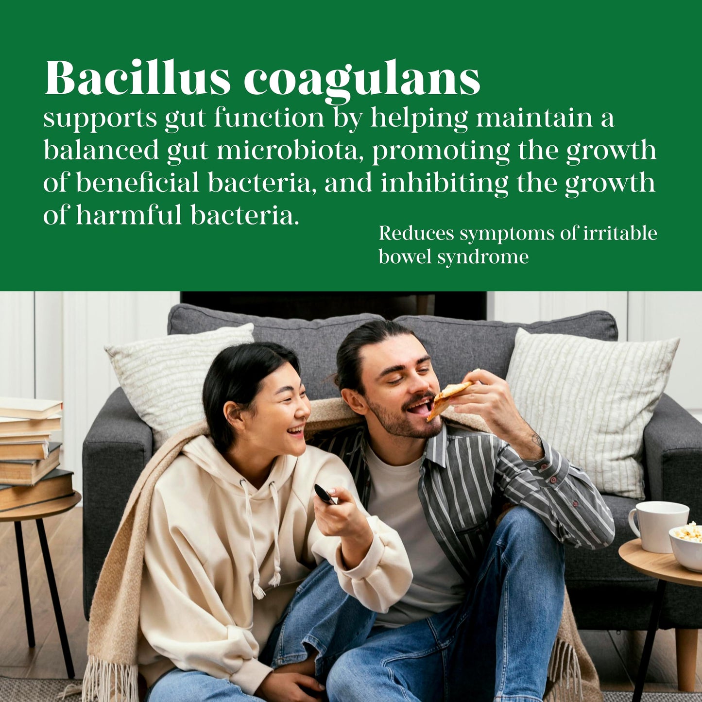MEIBOTAN Bacillus Coagulans Probiotics Capsule, 60 Count