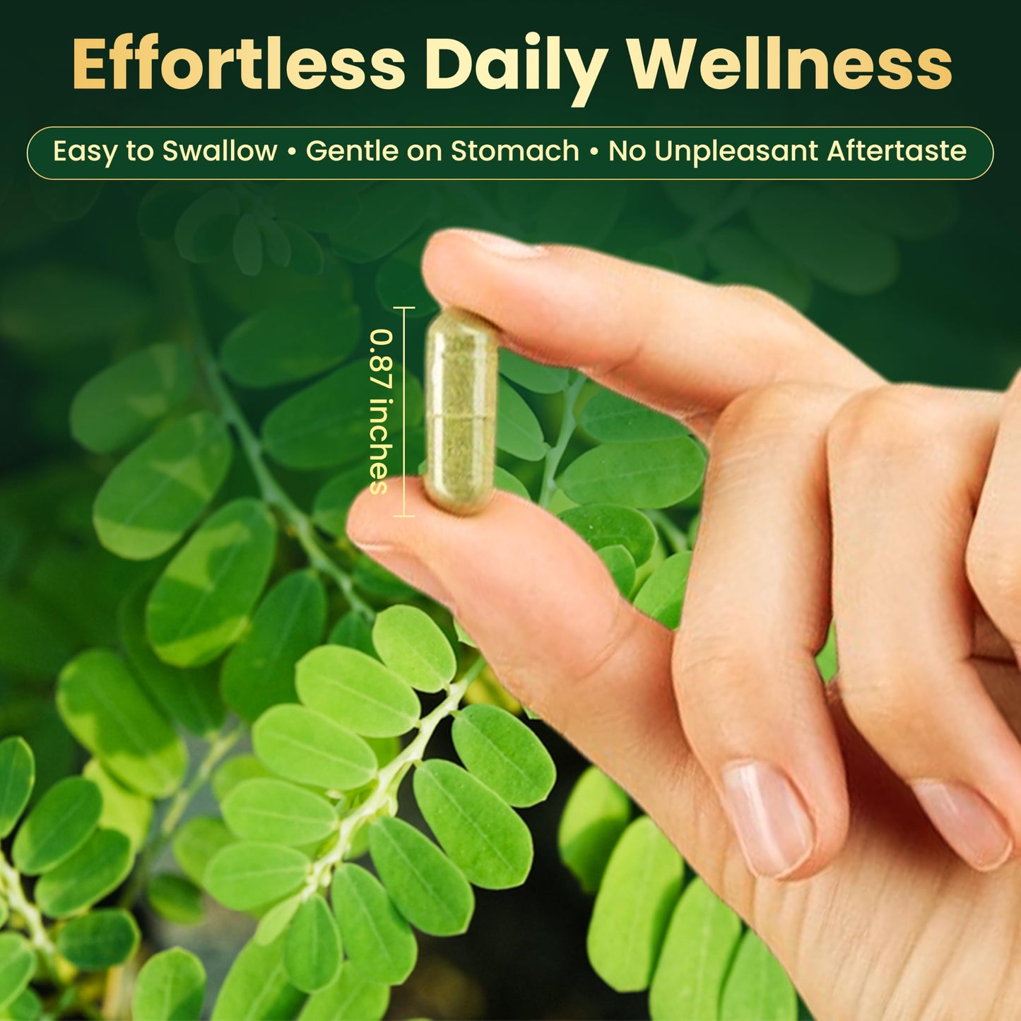 MPRAYAN Moringa Capsules 800mg Capsule, 90 Veg Capsules