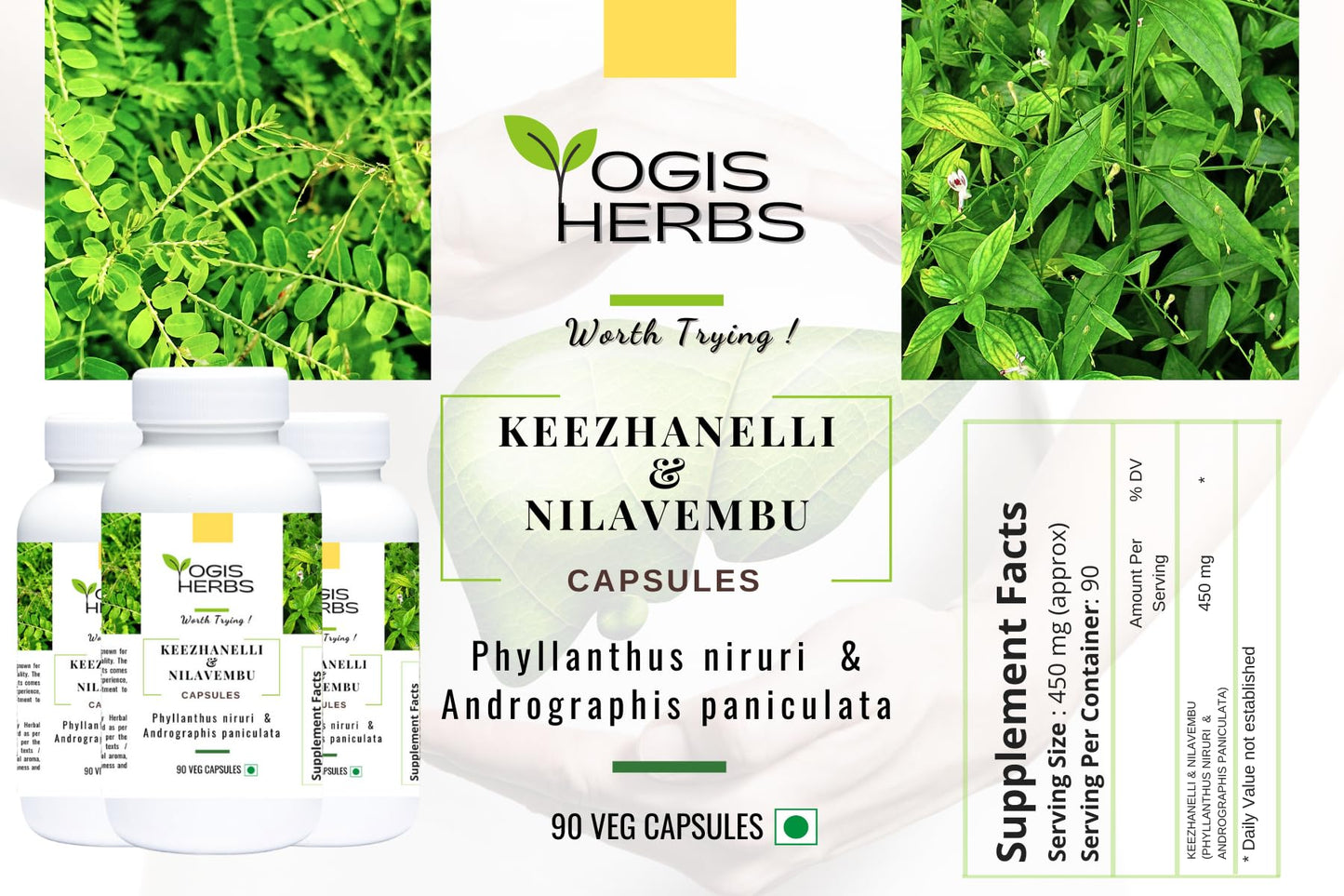 YOGIS HERBS Keezhanelli & Nilavembu Capsules, Phyllanthus niruri & Andrographis paniculata Blend for Liver & Immune Support, 90 Veg Capsules