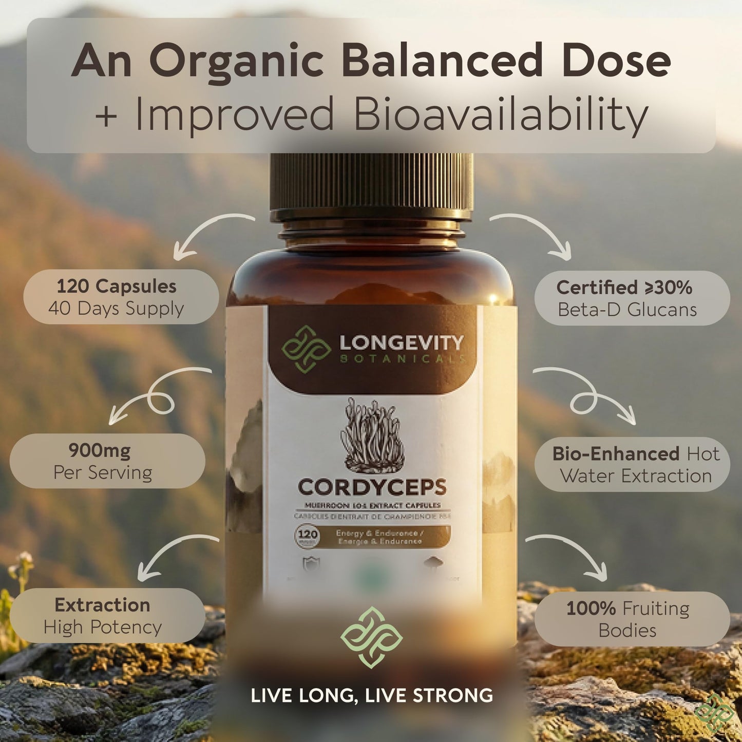 Longevity Botanicals Organic Cordyceps Mushroom Capsules 120 Count