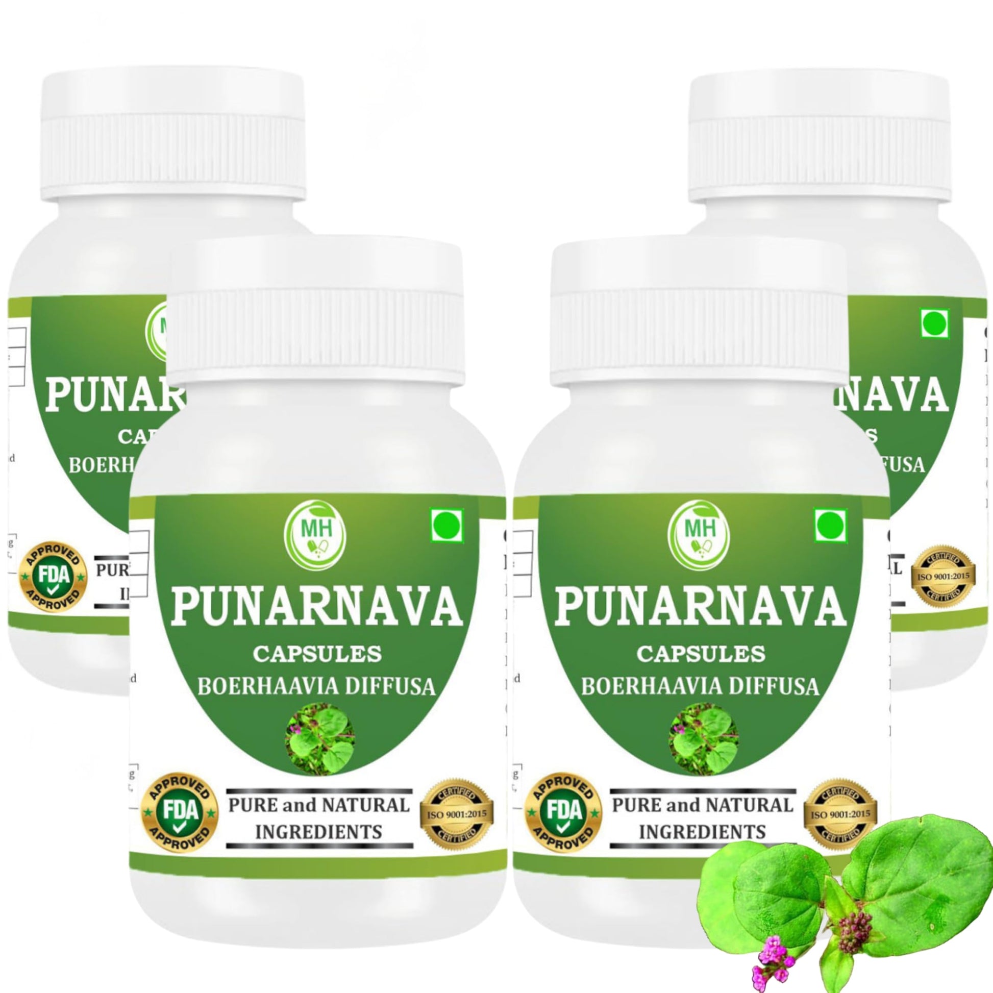 Morsan Healthcare Punarnava Capsules (Boerhaavia Diffusa) 500mg, 240 Capsules