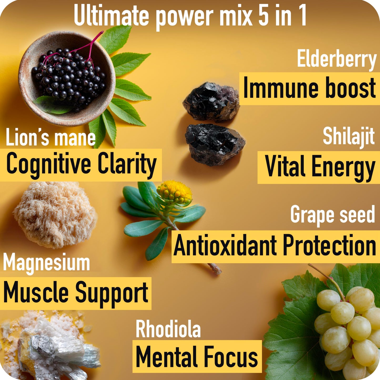 ad hoc Shilajit Gummies 1100mg Gold with Magnesium, Lions Mane, Rhodiola, Grape Seed, 85+ Trace Minerals & Fulvic Acid, Himalayan Shilajit for Energy Immune Support, 60 Count
