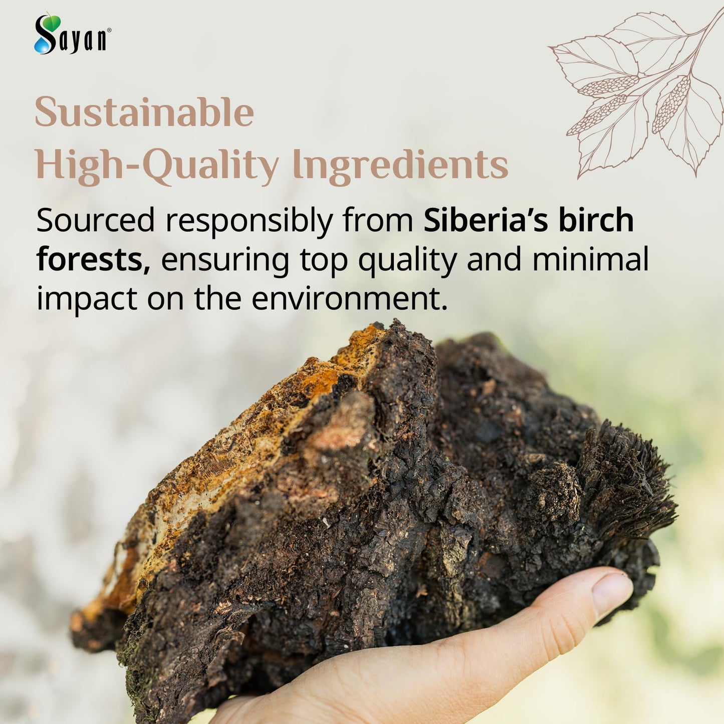 Sayan Siberian Chaga Mushroom Extract Powder, 16 Oz