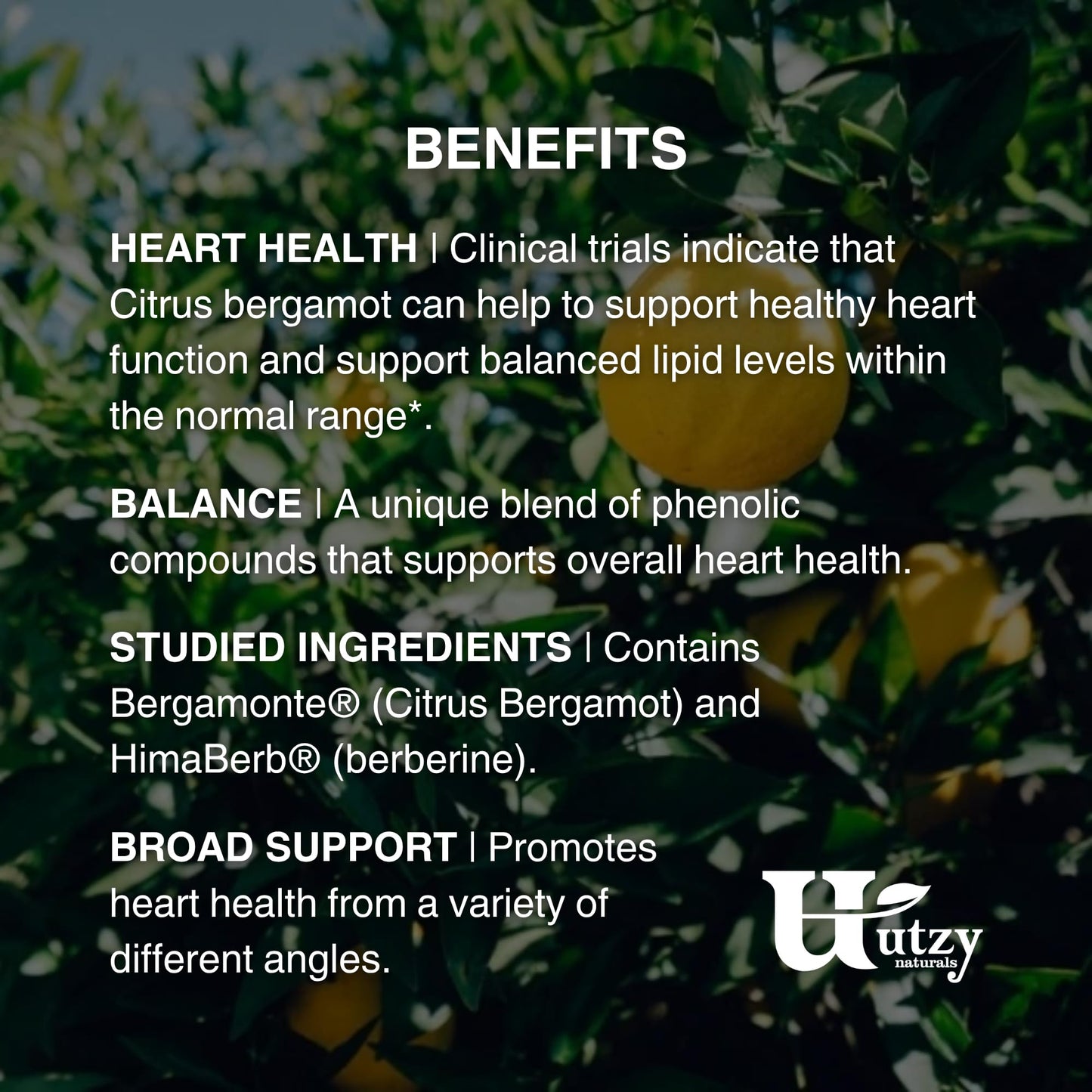 Utzy Naturals Berbercol Capsules 60 Count