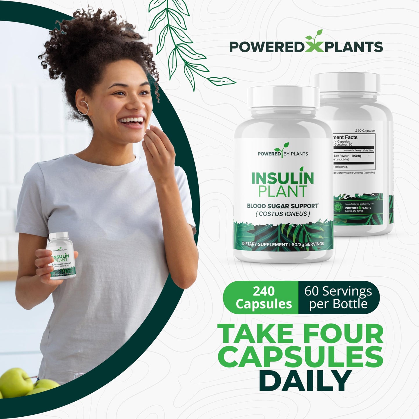 Research Biotech Group Insulin Plant Capsule 240 Capsules