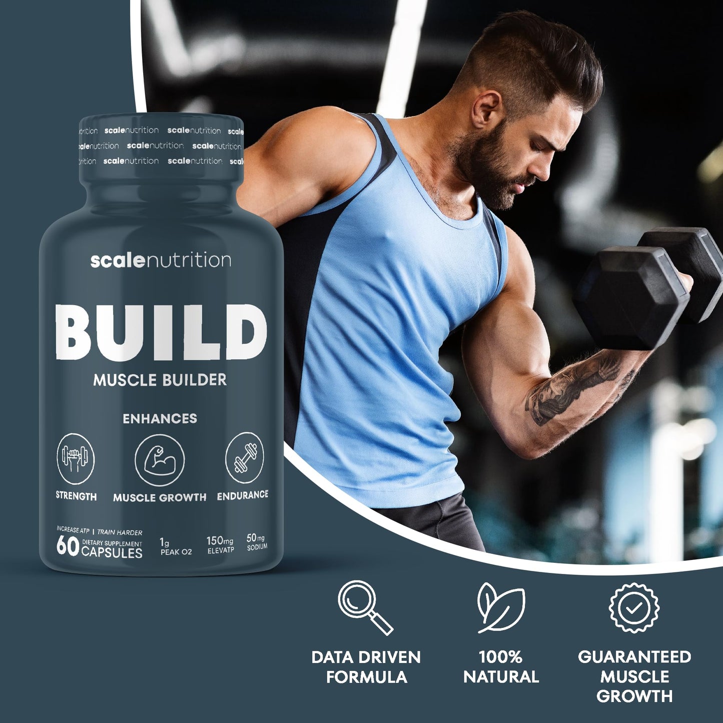 Scale Nutrition Build - Muscle Builder Supplement for Muscle Growth, Strength, Weight Gain, Endurance & Performance Enhancement for Men & Women - 60 Capsules
