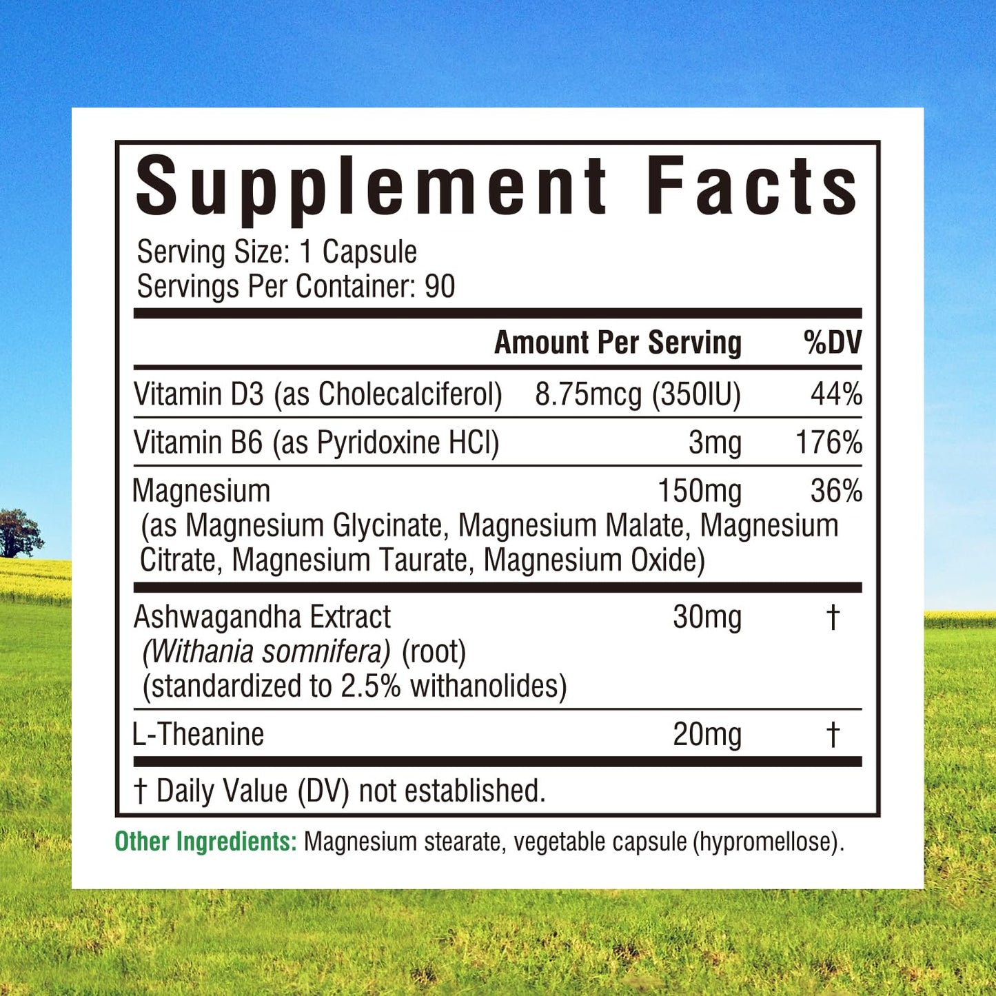 Innate Vitality Magnesium Complex, 90 Capsules