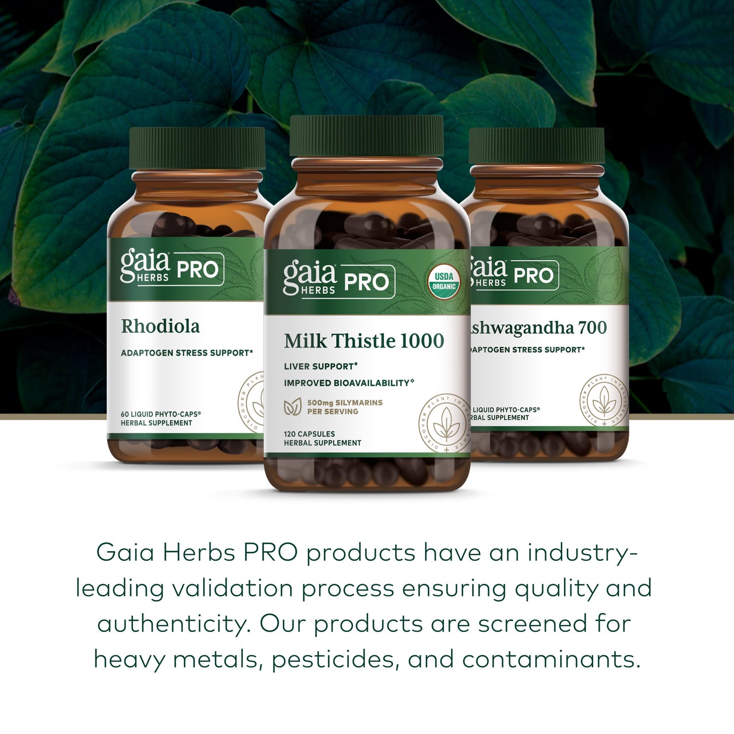 Gaia Herbs PRO Milk Thistle 1000 Capsules, 120 Count