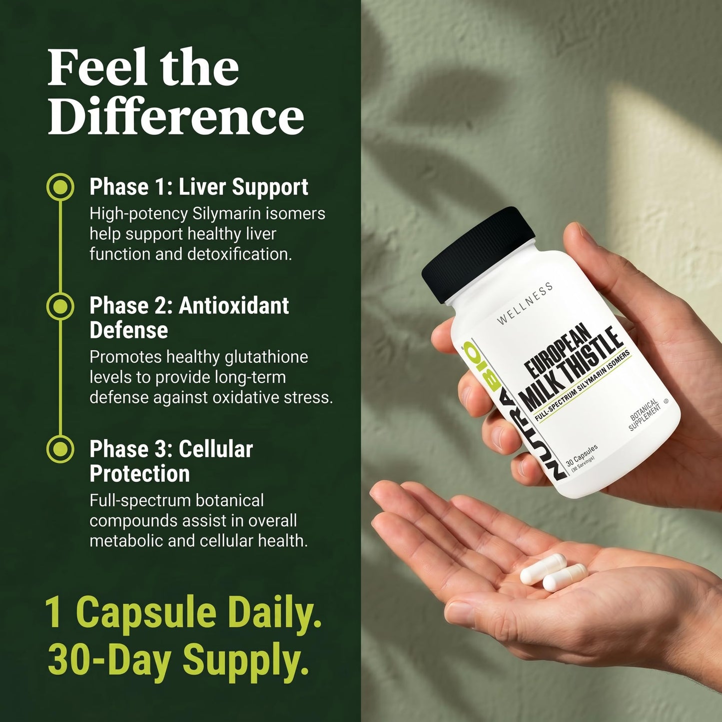 NutraBio European Milk Thistle Supplement Capsule, 90 Count