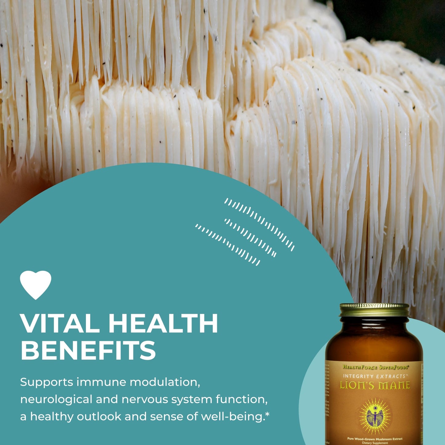 HEALTHFORCE SUPERFOODS Integrity Extracts Lion's Mane Powder 2.1164