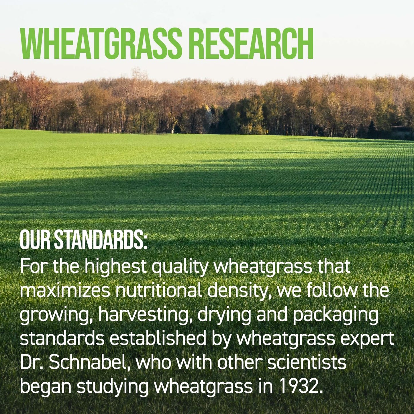 On Target Living Wheatgrass Tablets, 500 Tablets