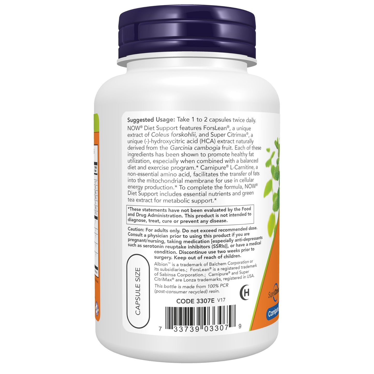 NOW Foods Diet Support with ForsLean (Coleus forskohlii) Capsule, 120