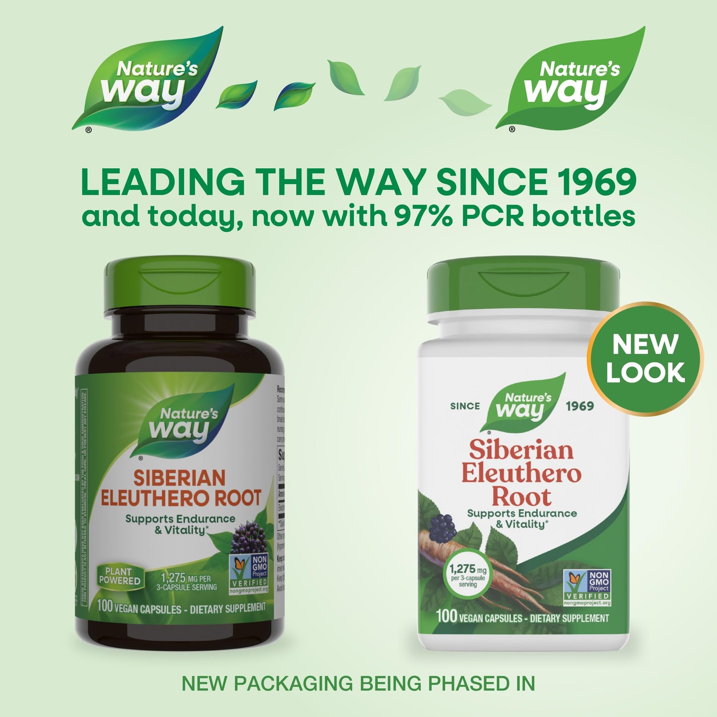Nature's Way Premium Herbal Siberian Eleuthero Root Supplement, 100 Capsules