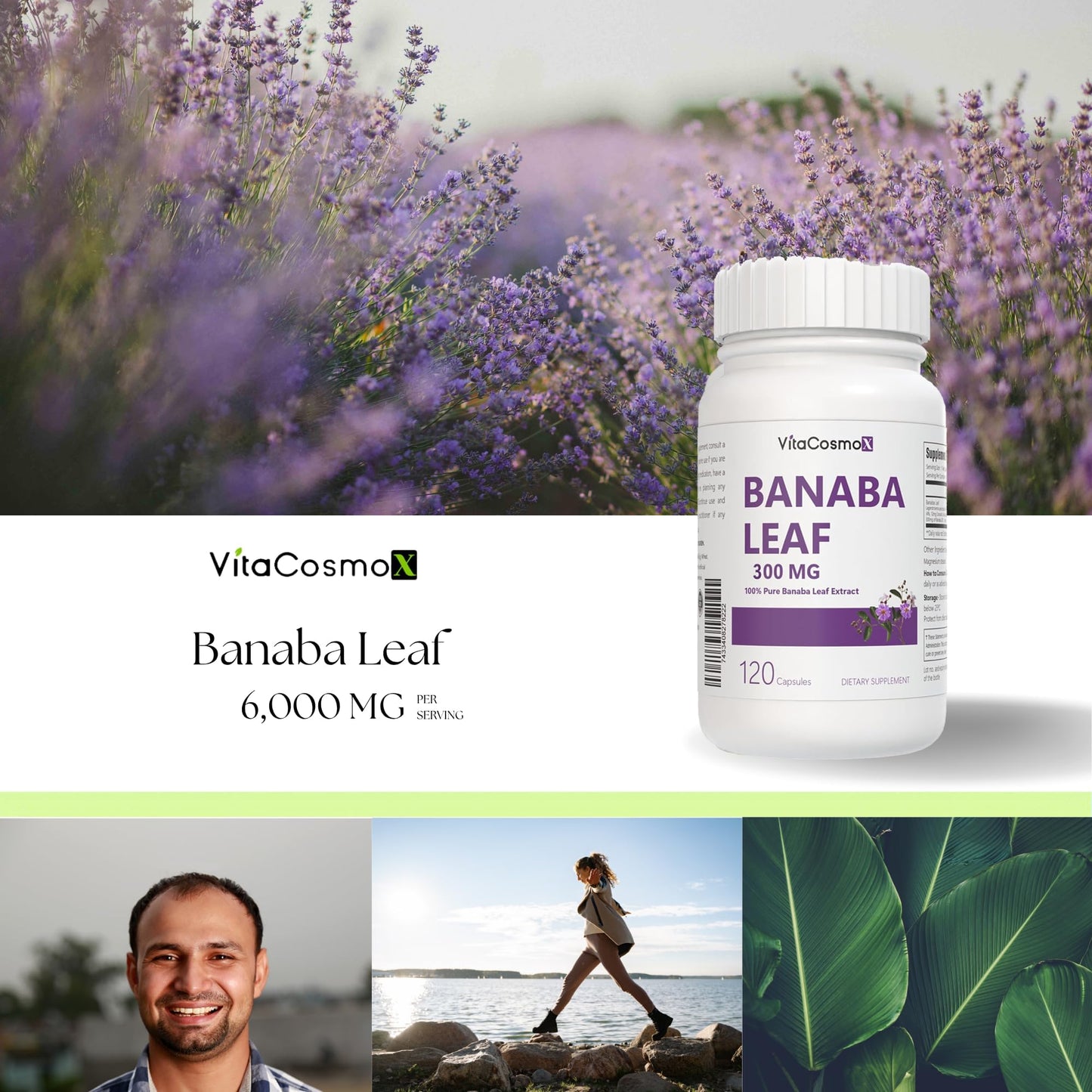 VitaCosmoX Banaba Leaf Extract 300mg Capsules, 120 Count
