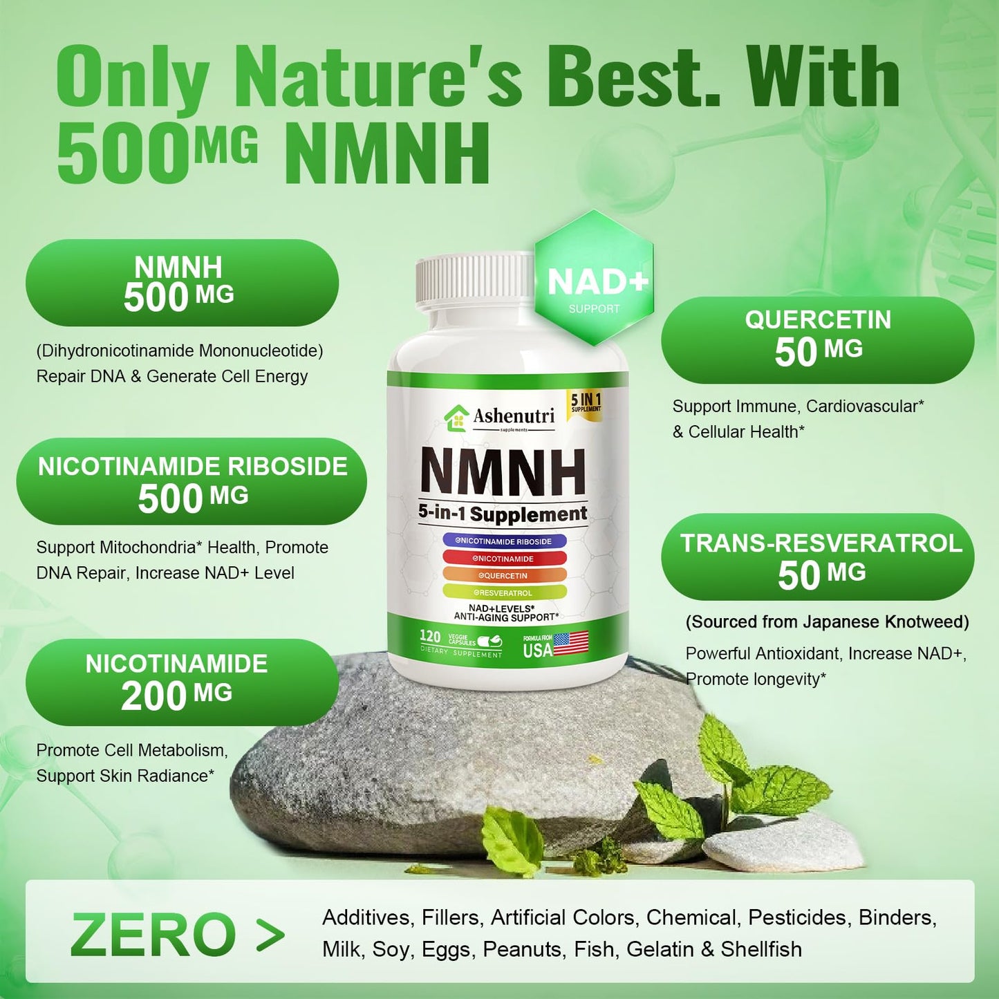 Ashenutri NMNH Supplement (Dihydronicotinamide Mononucleotide), NMN Alternative with Niacinamide (Vitamin B3), Quercetin, Trans-Resveratrol, NAD+ Support, Skin Cell Health, Aging & Energy 120 Capsules