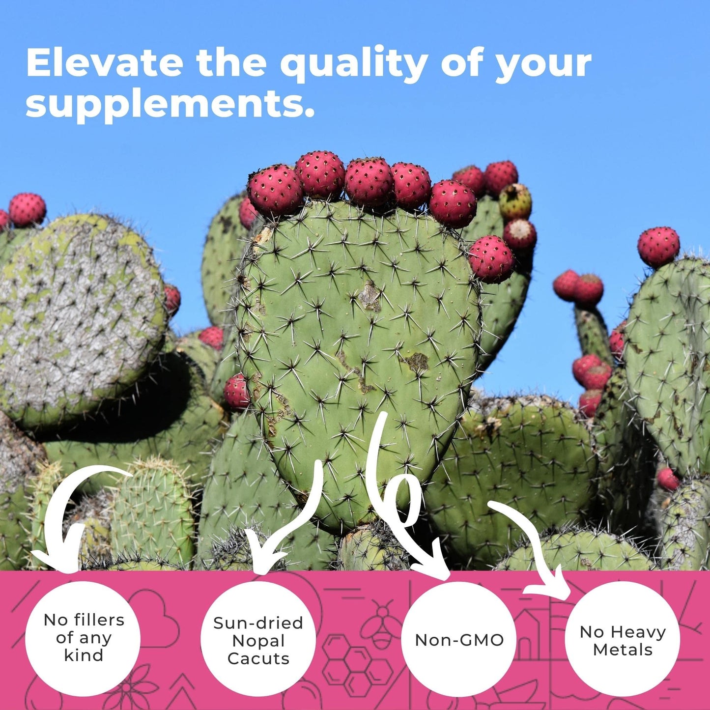 Eleva Nutrition Nopal Cactus Capsules 1500mg, 240 Capsules