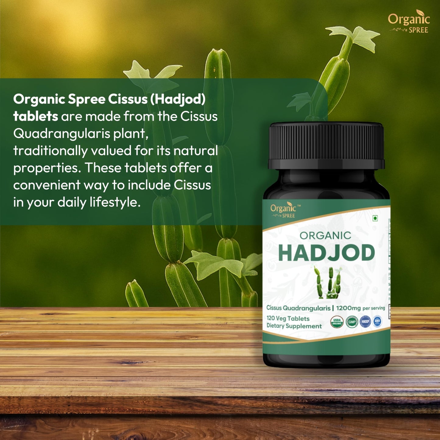 Organic Spree Hadjod Cissus Quadrangularis Tablets, 120 Count