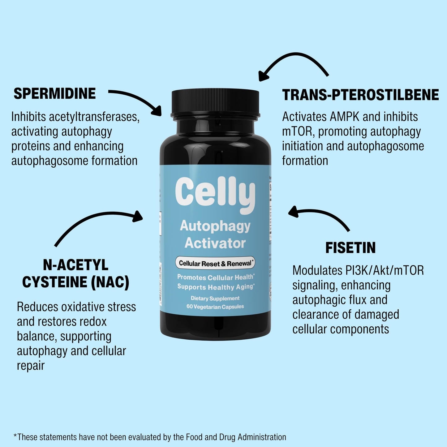 Celly Autophagy Activator Capsule 60 Count