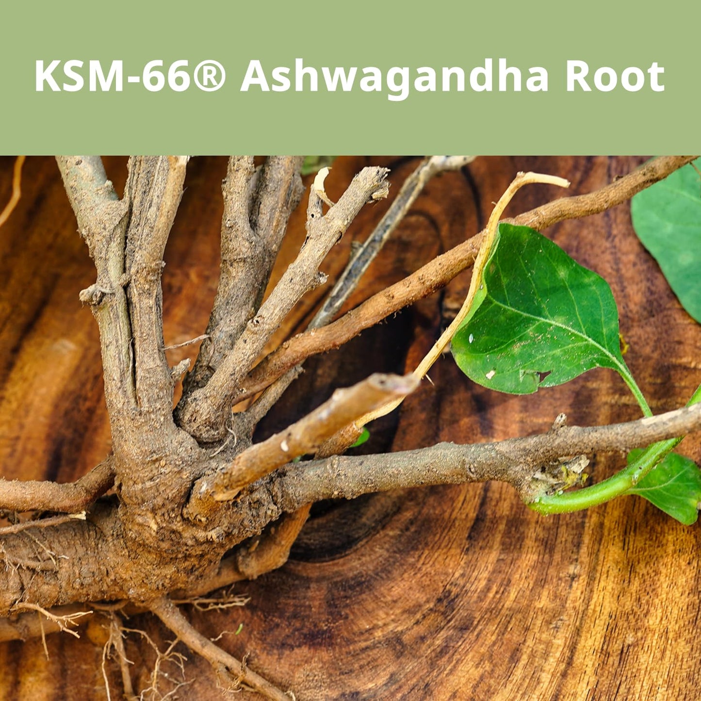 St. Francis Herb Farm Ashwagandha 300mg Capsules KSM-66 Root-Extract, 60 Count