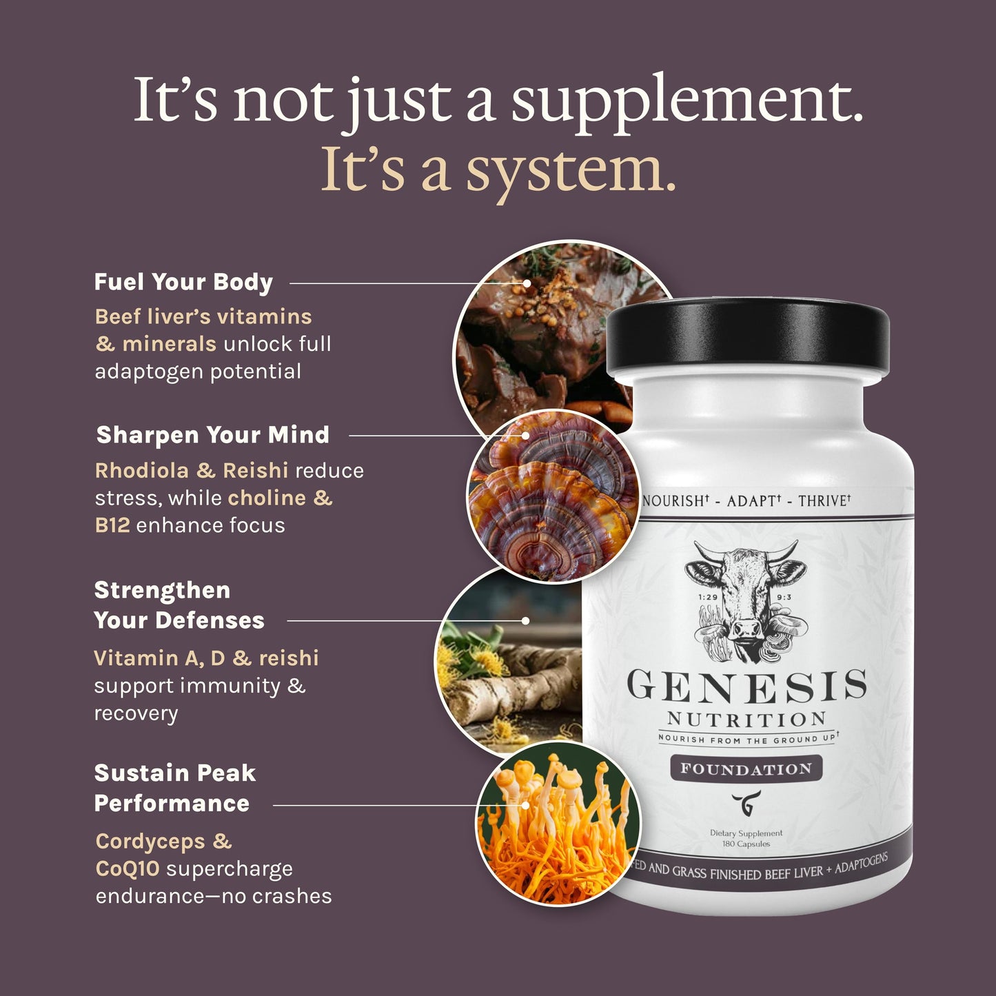 Genesis Nutrition Grass Fed Beef Liver with Cordyceps, Reishi, Panax Ginseng & Rhodiola Foundation 180 Capsules